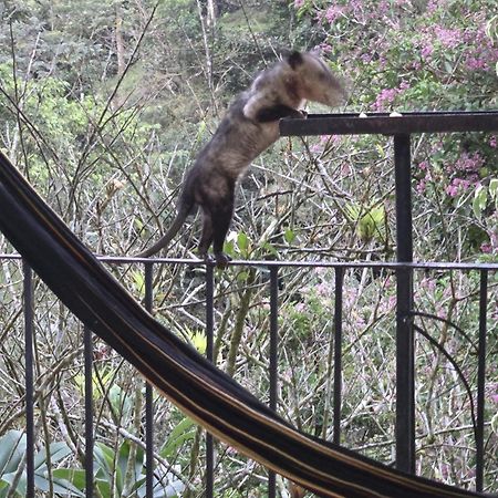 El Valle De Anton La Chachalaca Dış mekan fotoğraf