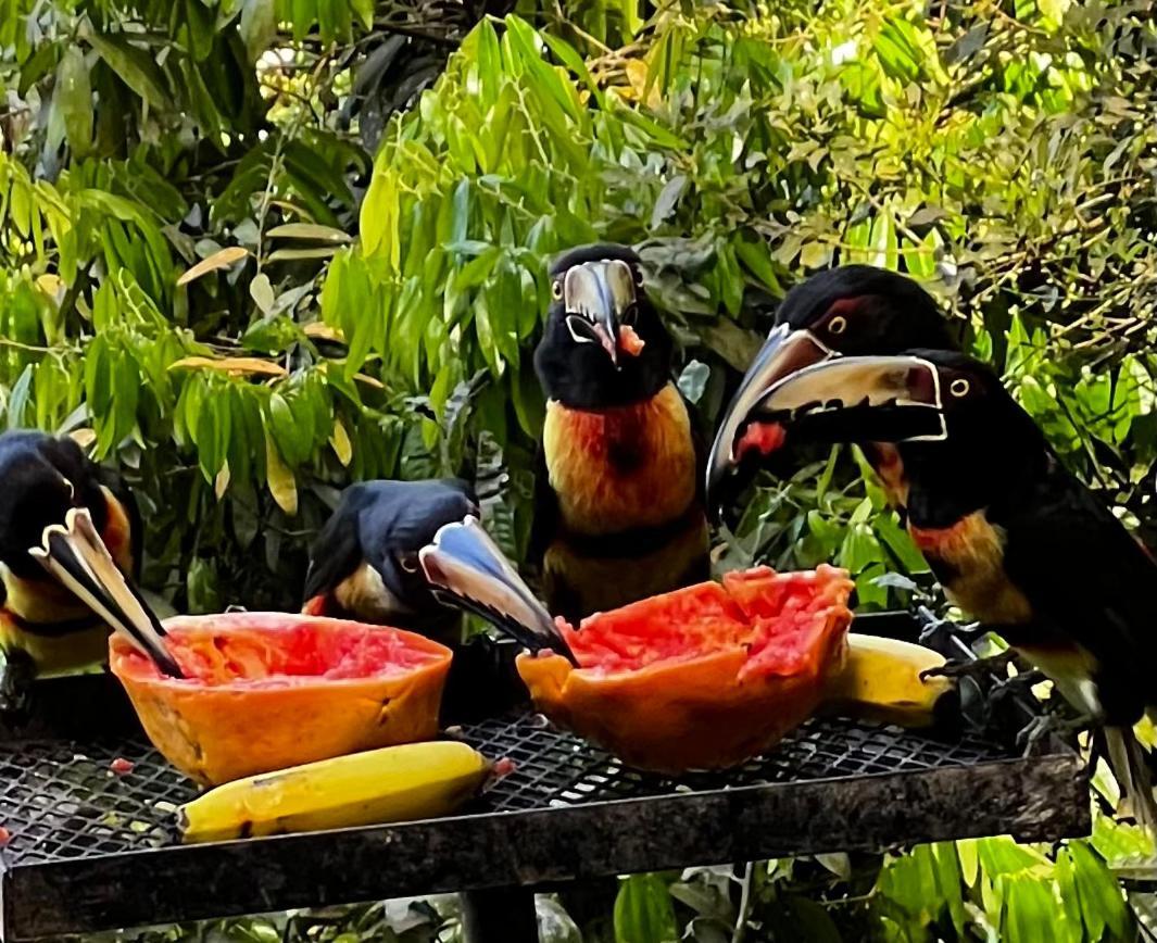 El Valle De Anton La Chachalaca Dış mekan fotoğraf
